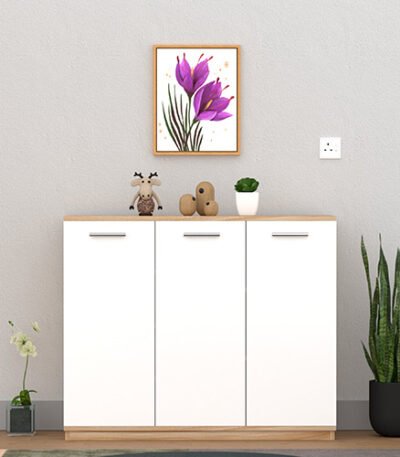 Storage Cabinets with Multiple Doors